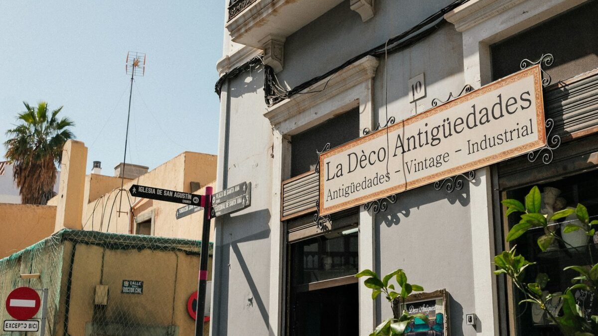 Presente de aniversário: Newcastle paga 35,9 milhões de euros por Amar Dedic, primeiro reforço da era Jaissle