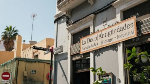 Presente de aniversário: Newcastle paga 35,9 milhões de euros por Amar Dedic, primeiro reforço da era Jaissle
